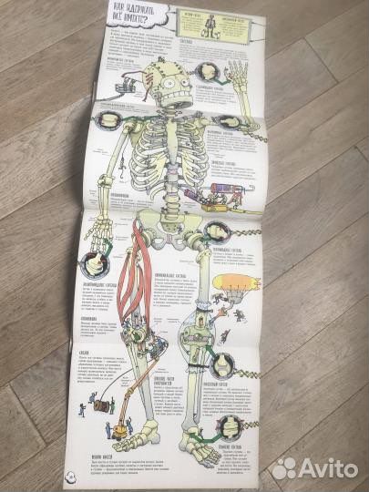 Книга «Большое путешествие по телу человека»