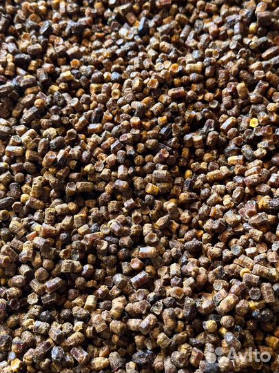 Мед с пергой