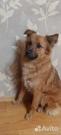 Мальчик.В очень добрые ручки