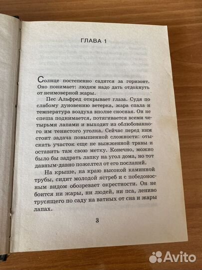 Книга Люк Бессон