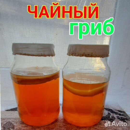 Банка и чайный гриб