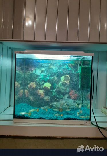 Аквариум