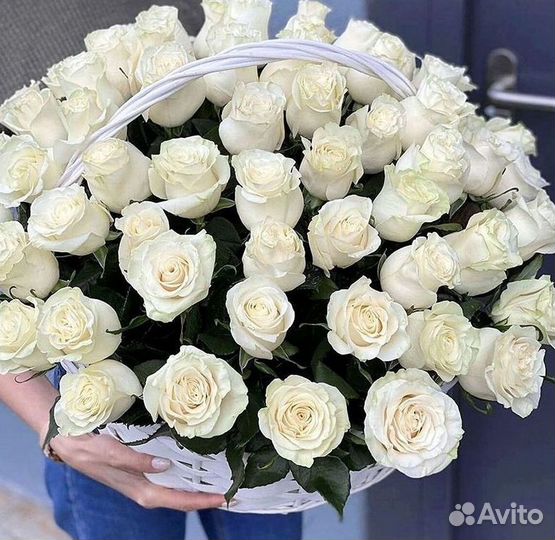 Высокие розы Гигантские розы Доставка цветов