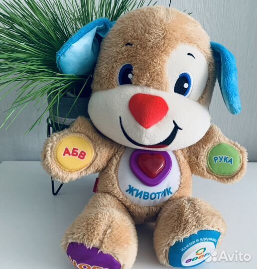 Щенок развивающий