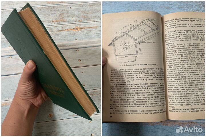 Сад огород книги по садоводству и огородничеству