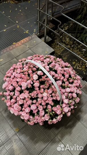 Цветы свежие