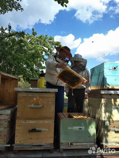 Собственный мёд с личной пасеки