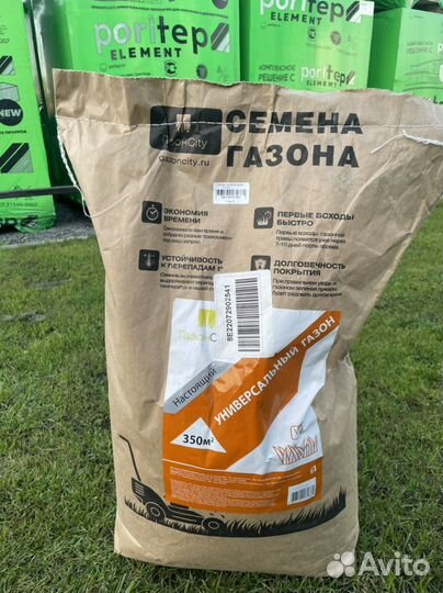 Семена газонной травы