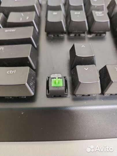 Razer blackwidow chroma