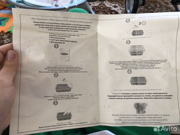 Набор для выращивания микрозелени