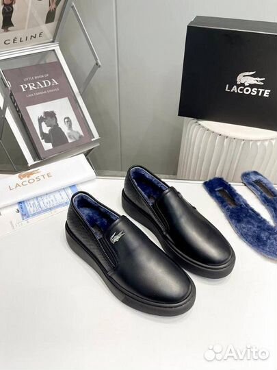 Слипоны мужские зимние с мехом Lacoste 39-45