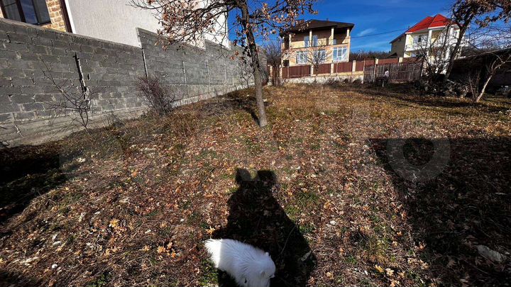 Участок 7,5 сот. (СНТ, ДНП)