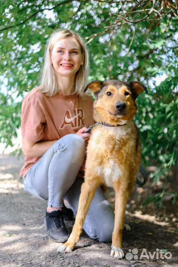 Собака из приюта в добрые руки