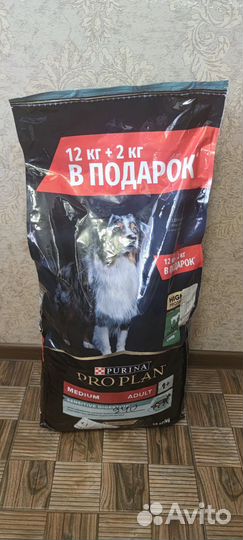 Корм для собаки с именем писателя детектива