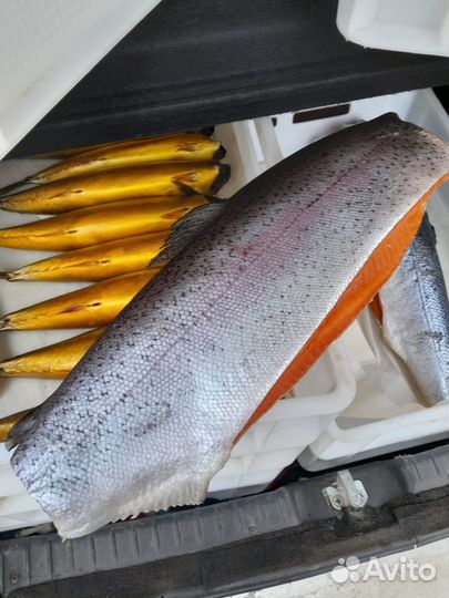Копчёная и солёная рыба оптом