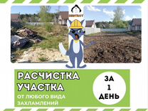 Расчистка участка с вывозом мусора в Звенигороде