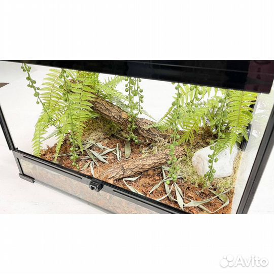 Террариум 60x40x40 №1