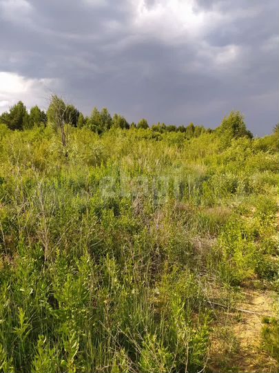 Участок 13 сот. (ИЖС)