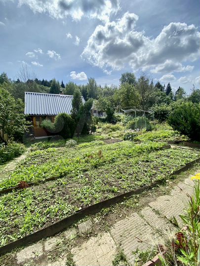 Участок 4,4 сот. (СНТ, ДНП)