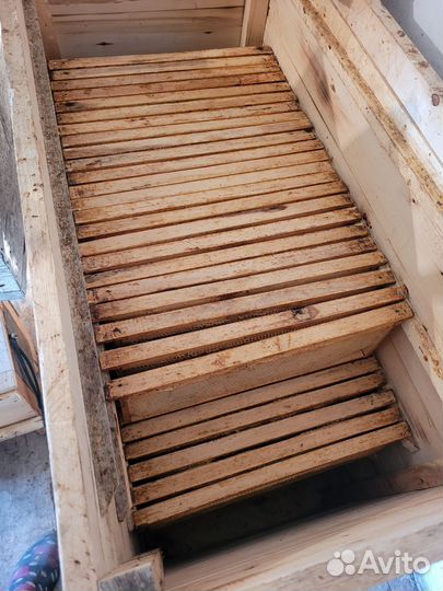 Сушь для пчел