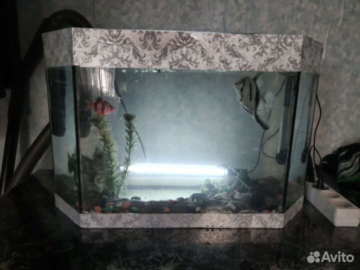 Аквариум