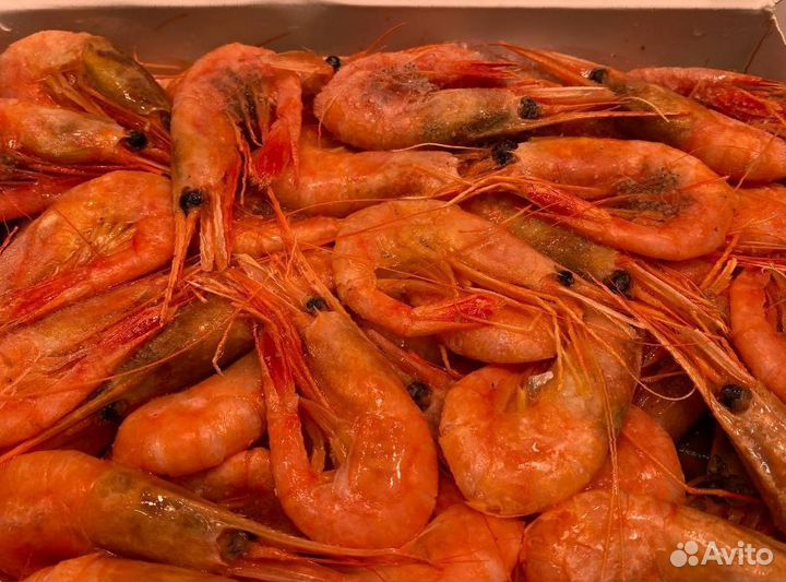 Креветка северная. Промфлот. Опт