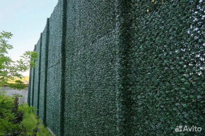 Зеленый забор, изгородь