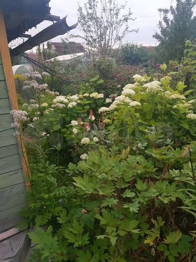 Участок 4 сот. (СНТ, ДНП)