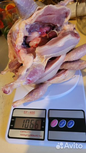 Ия перепелов