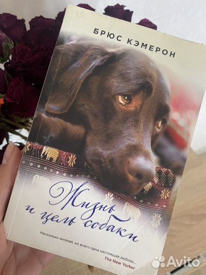 Книга про собак