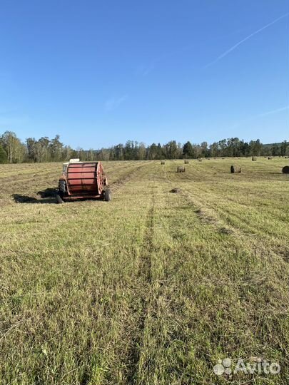 Продам сено в рулонах