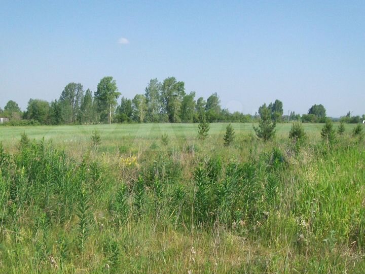 Участок 15 сот. (СНТ, ДНП)