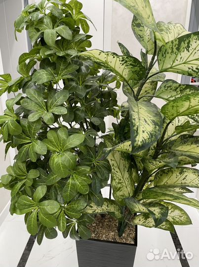 Шефлера дерево искусственное 150 см