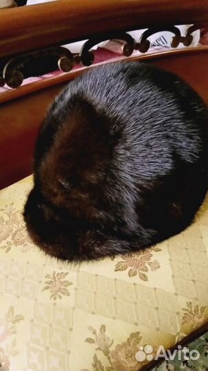 Шапка женская