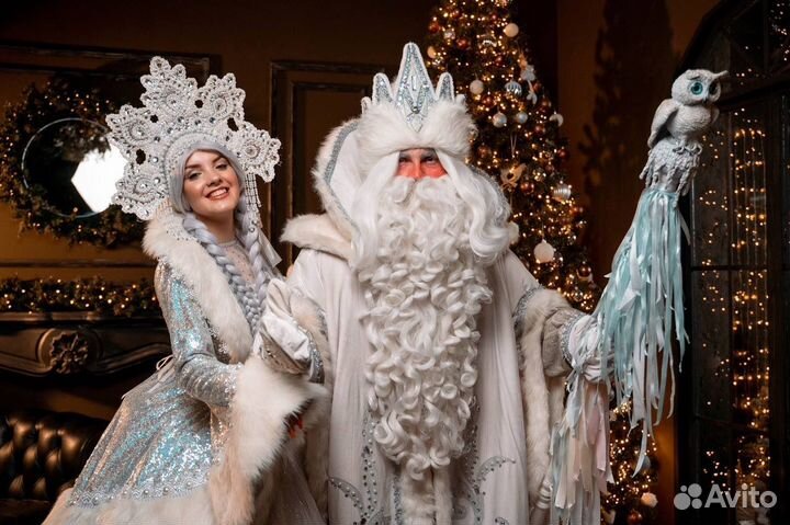 Дед мороз и снегурочка на дом