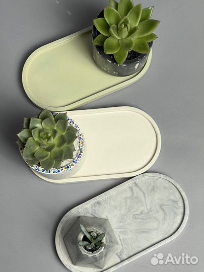 Поднос из гипса и суккулент