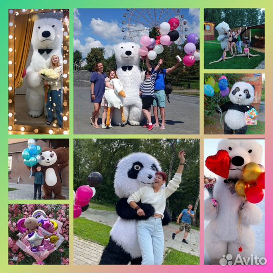 Мишка, Панда,Чебурашка, поздравления,аниматор