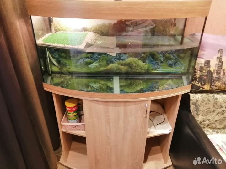 Аквариум для черепахи 200 литров