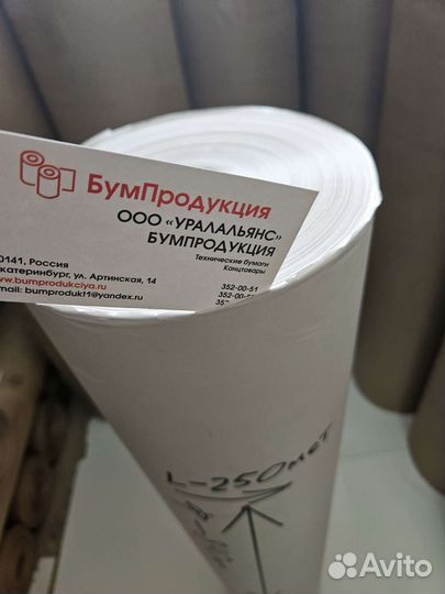 Газетная (потребительская) бумага в рулонах