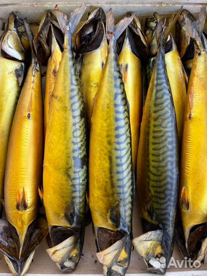 Рыба горячего и холодного копчения