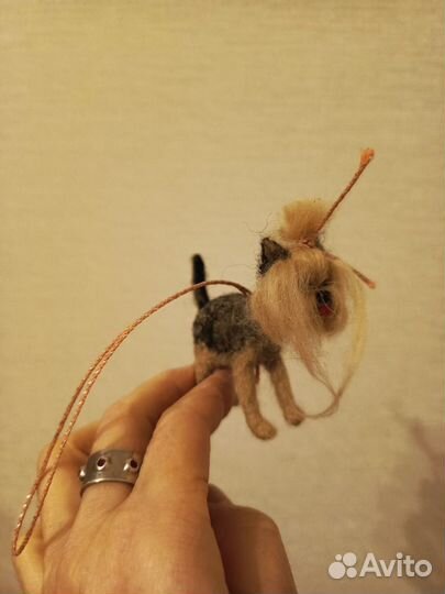 Собаки йоркширские терьеры на подарок