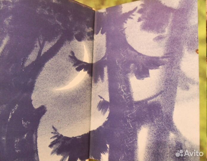 Небо с овчинку Н. Дубов