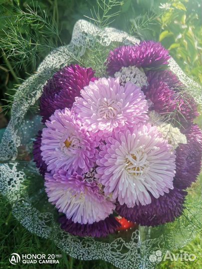 Букеты живых цветов