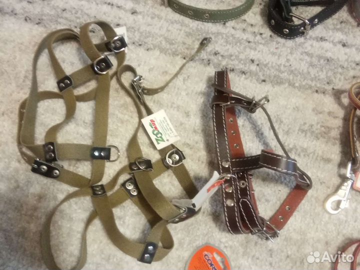 Амуниция для собак