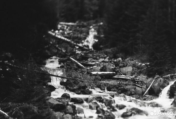 PC-E Micro Nikkor 45mm 2.8 tilt-shift