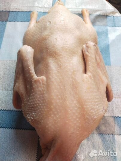 Утка домашняя мясо (тушка)