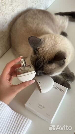 Духи Tumburins Pumpkini