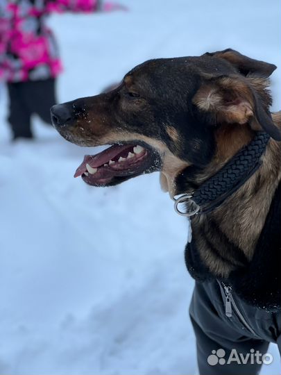 Гермес. Ему страшно и плохо в городе