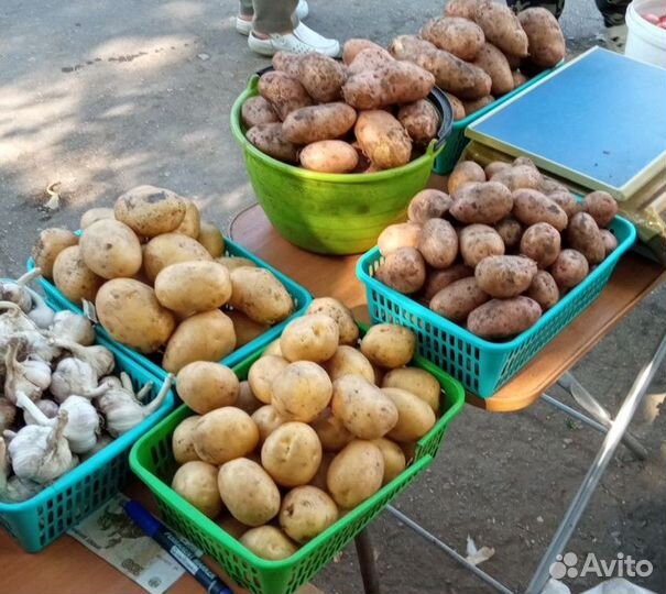 Продам деревенский картофель