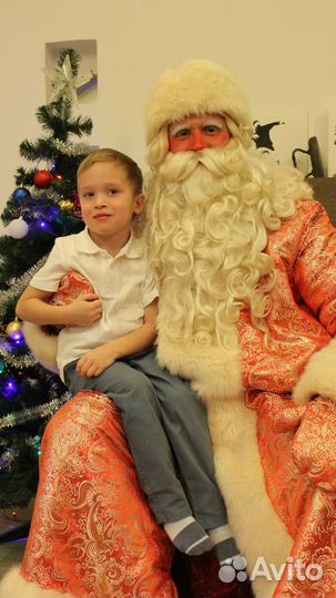 Аниматоры, Дед Мороз и Снегурочка, День Рождения